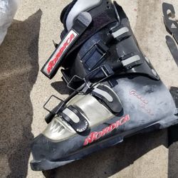 Only $20