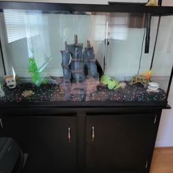 TopFin Fish Tank And Stand