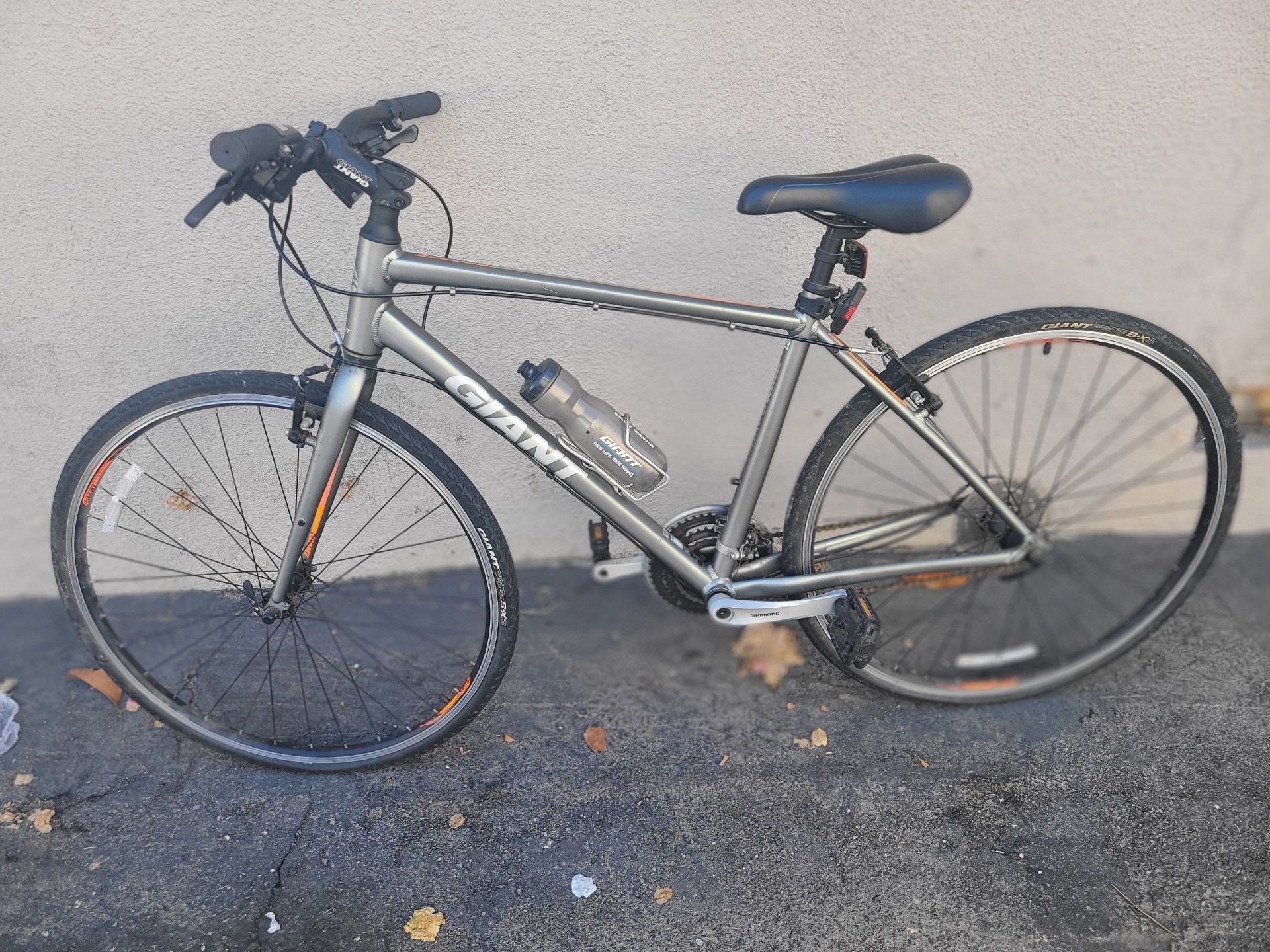 Giant Bike