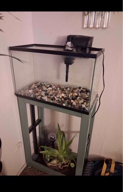 10G tank with stand