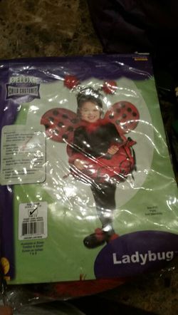 Ladybug costume