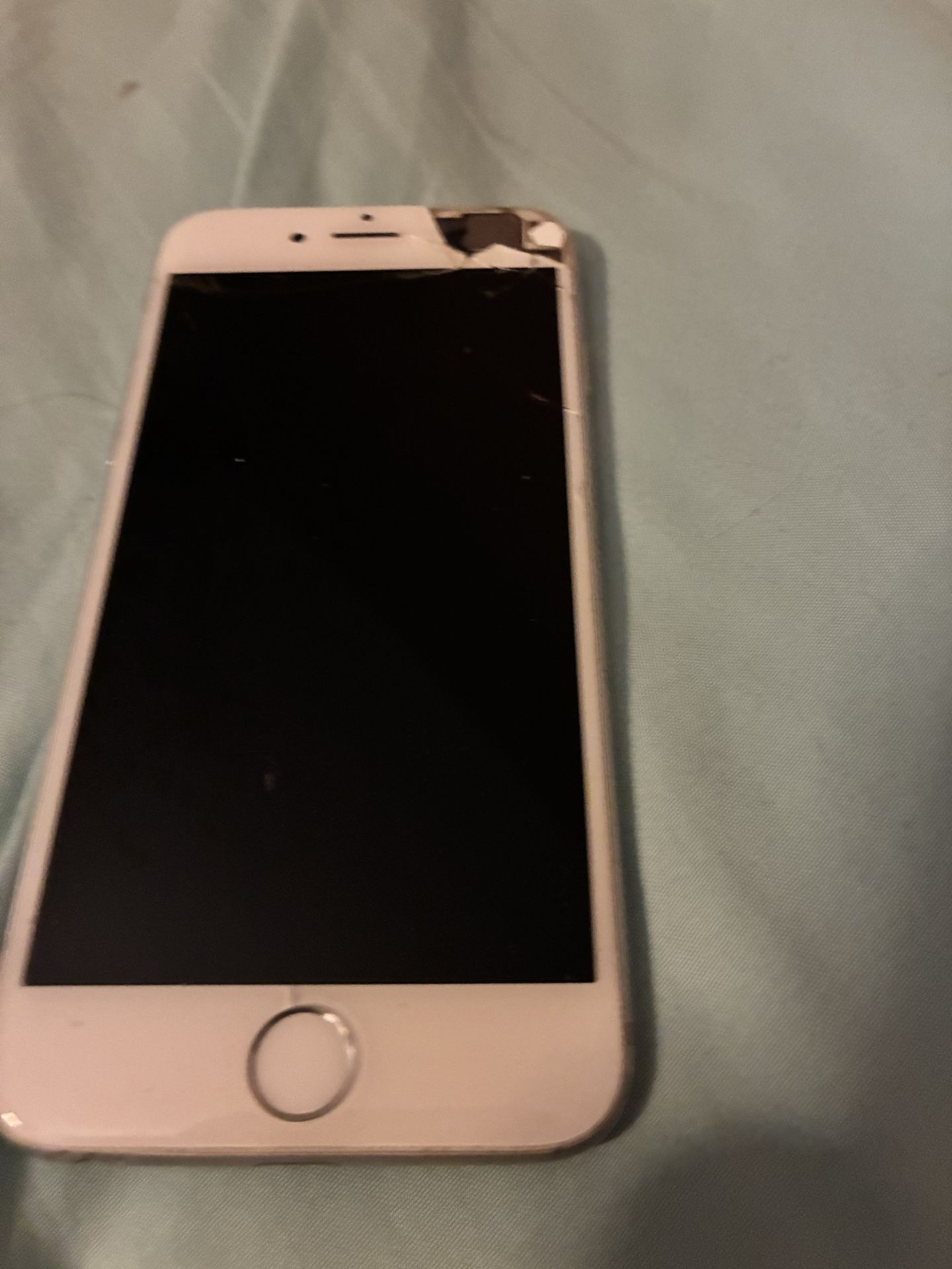 iPhone 6 