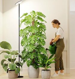 Grow Light for Indoor Plants, 60W Full Spectrum LED 85” Tall Standing Plant Light, Custom 1–23H Daily Cycle Timer, Digital Display, 10-Level Dimmable,