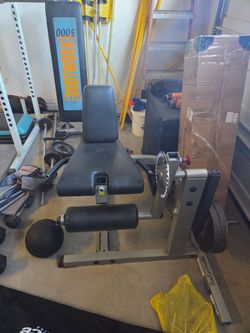 Leg Extension