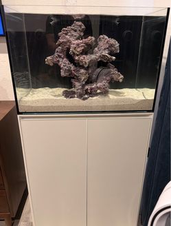 UNSR75 saltwater aquarium fully equipped