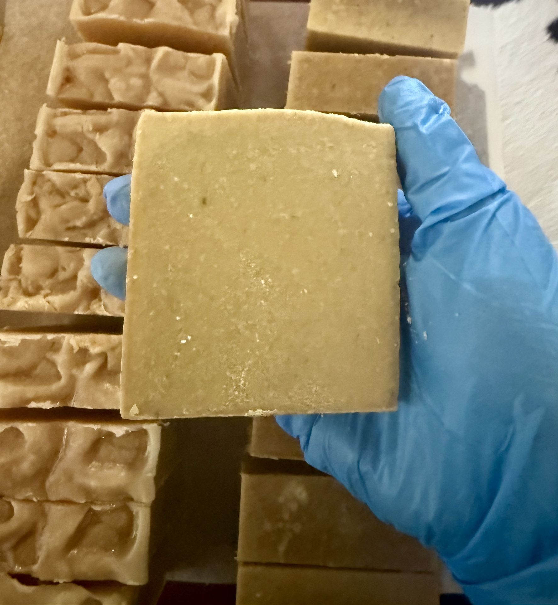 Eucalyptus Aloe Goat Milk Soap