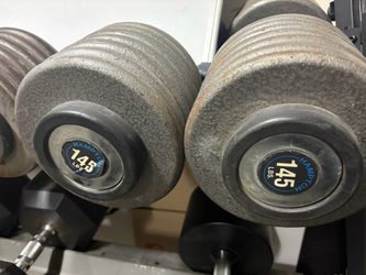 Hampton 145 lb Dumbbells Pair