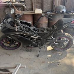 Kawasaki Bike 