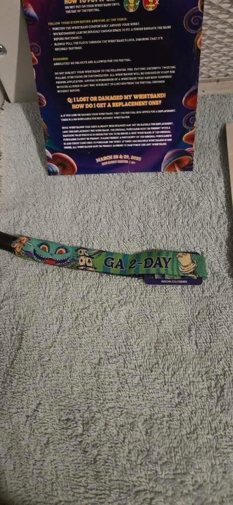 BEYOND WONDERLAND (1) 2day General Admission Pass