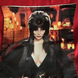 15 1/2" By 15 1/2" Elvira Pillow Case 