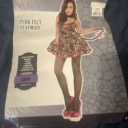 Woman’s cat Costume
