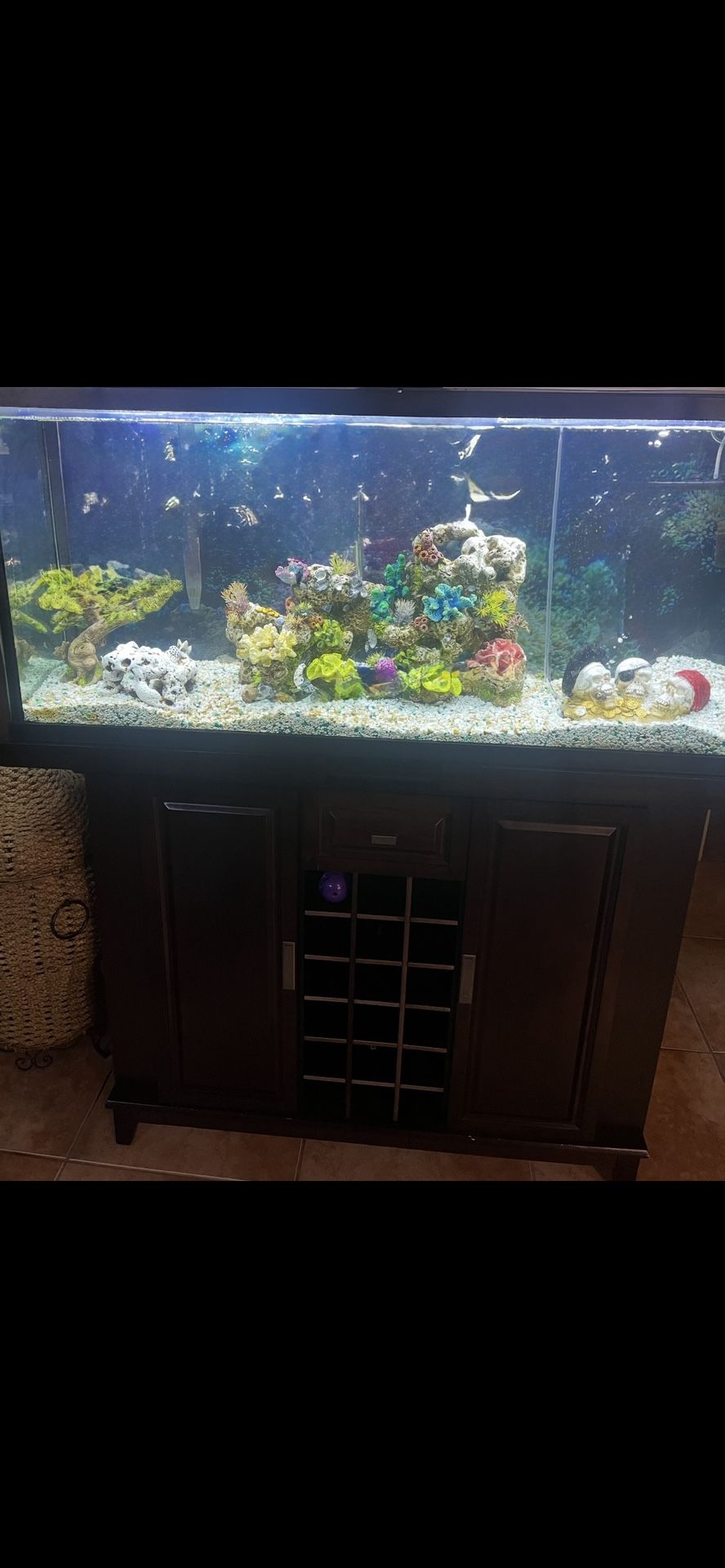Fish Tank