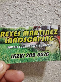Maintenance and yard clean up