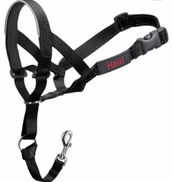 Halti. Dog Headcollar, Black Small