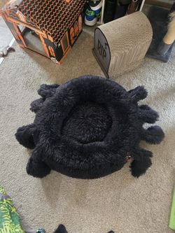 Spider Pet Bed.