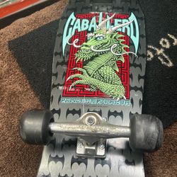 Powell Peralta Caballero 2015