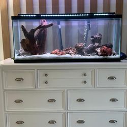 Fish Tank 