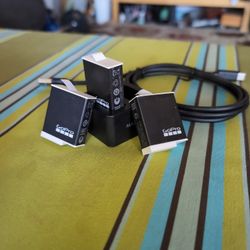 GoPro Enduro batteries and charger