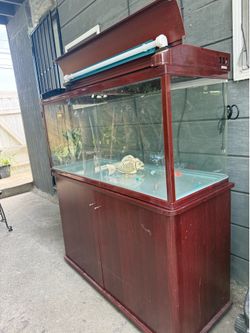 Fish Tank