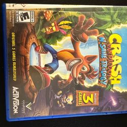 PS4- Crash Video Game