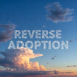 Reverse Adoption Of A Spirit Companion