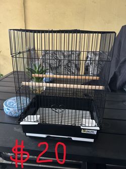Bird Cage & Aquarium for Sale