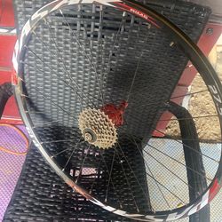 Bike rims