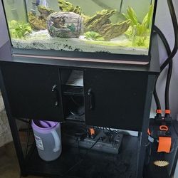 20 gal tank