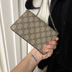 Gucci Purse 