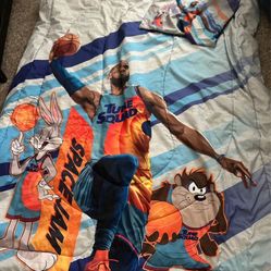 Used twin LeBron James “Space Jam” Bed Comforter