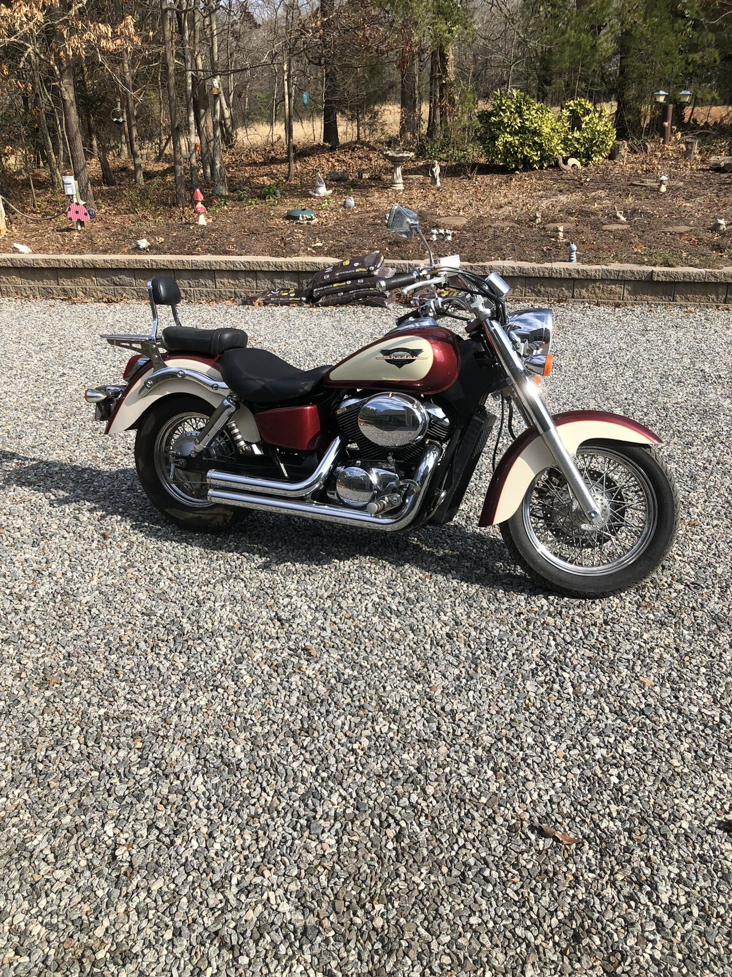 1998 Honda 750 shadow ace