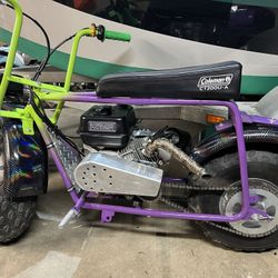 Fully Custom Mini Bike 212cc Trade