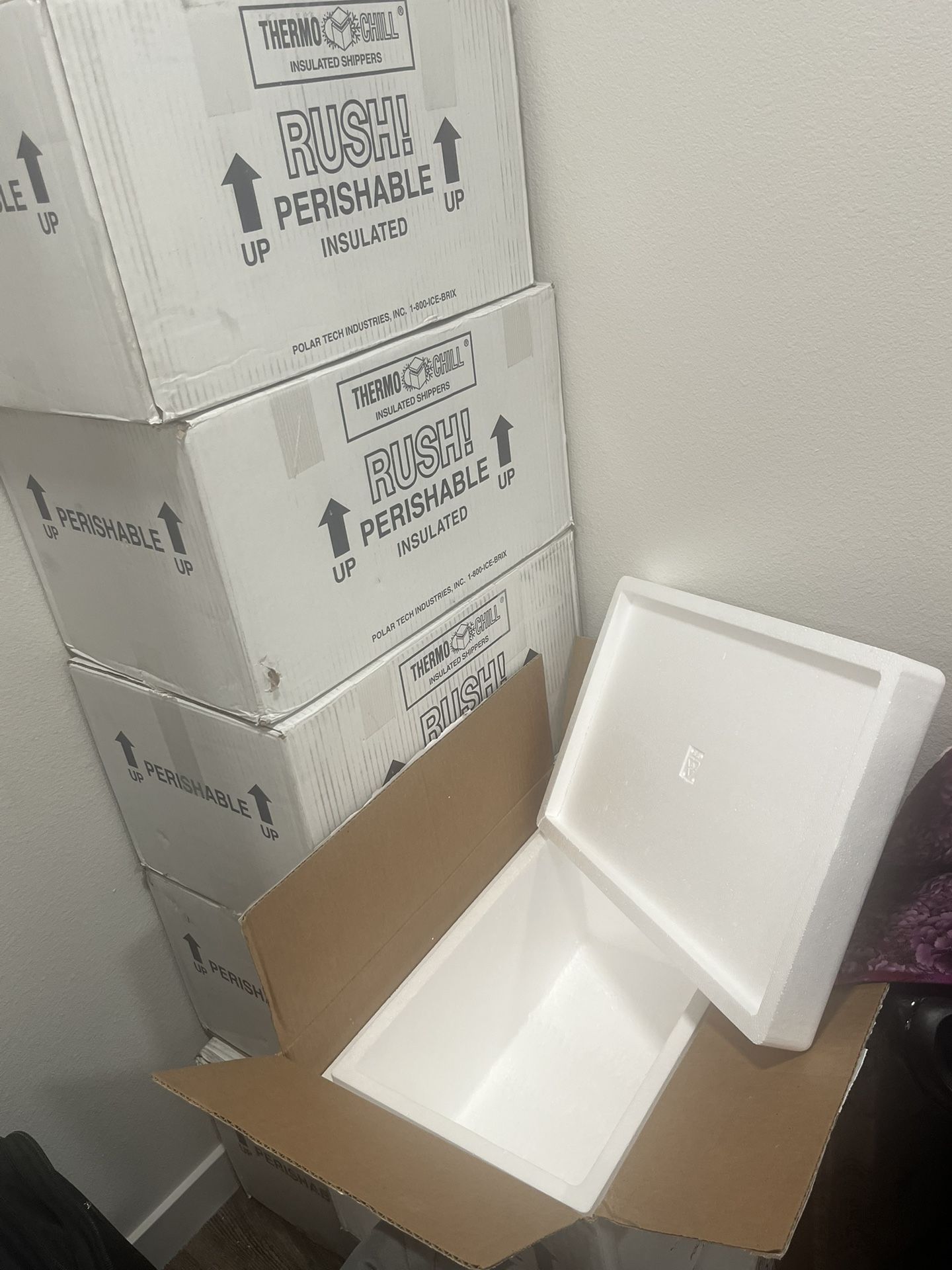 Polar Tech Insulated Box Cooler For Shipping Frozen Goods