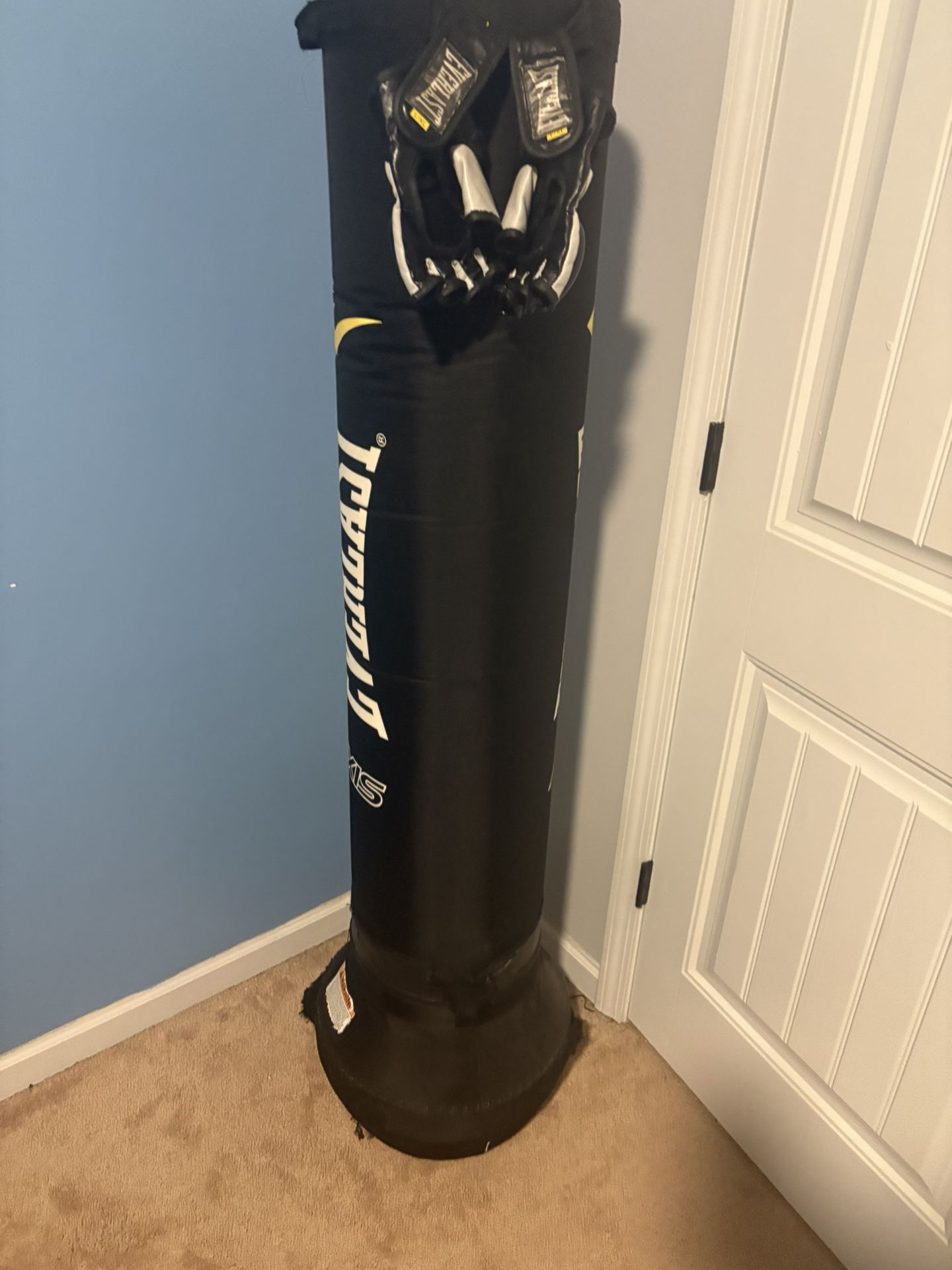 Punching Bag