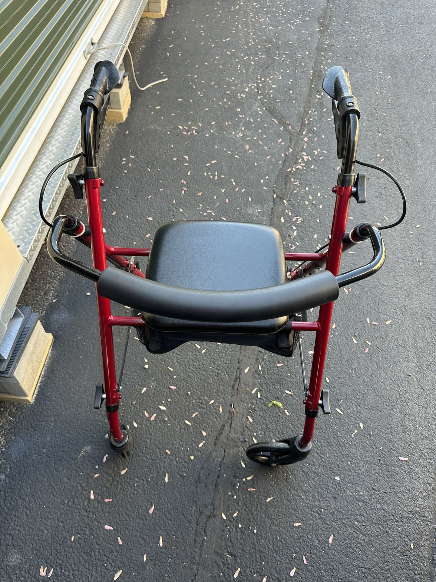 Adult Walker