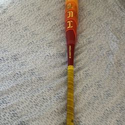 Hype Fire Baseball Bat