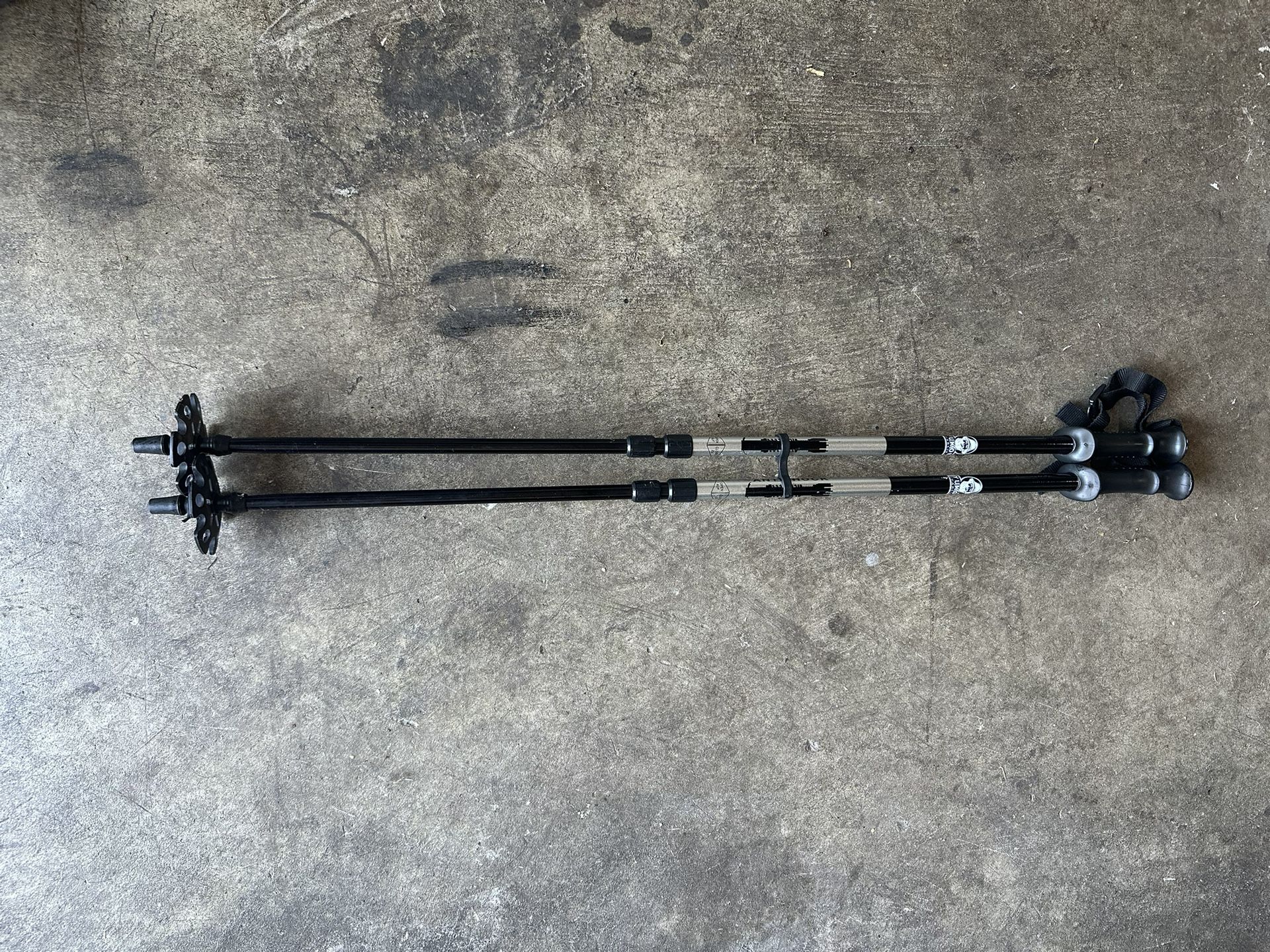 Yukon Charlie’s Aftershocks Trekking Poles