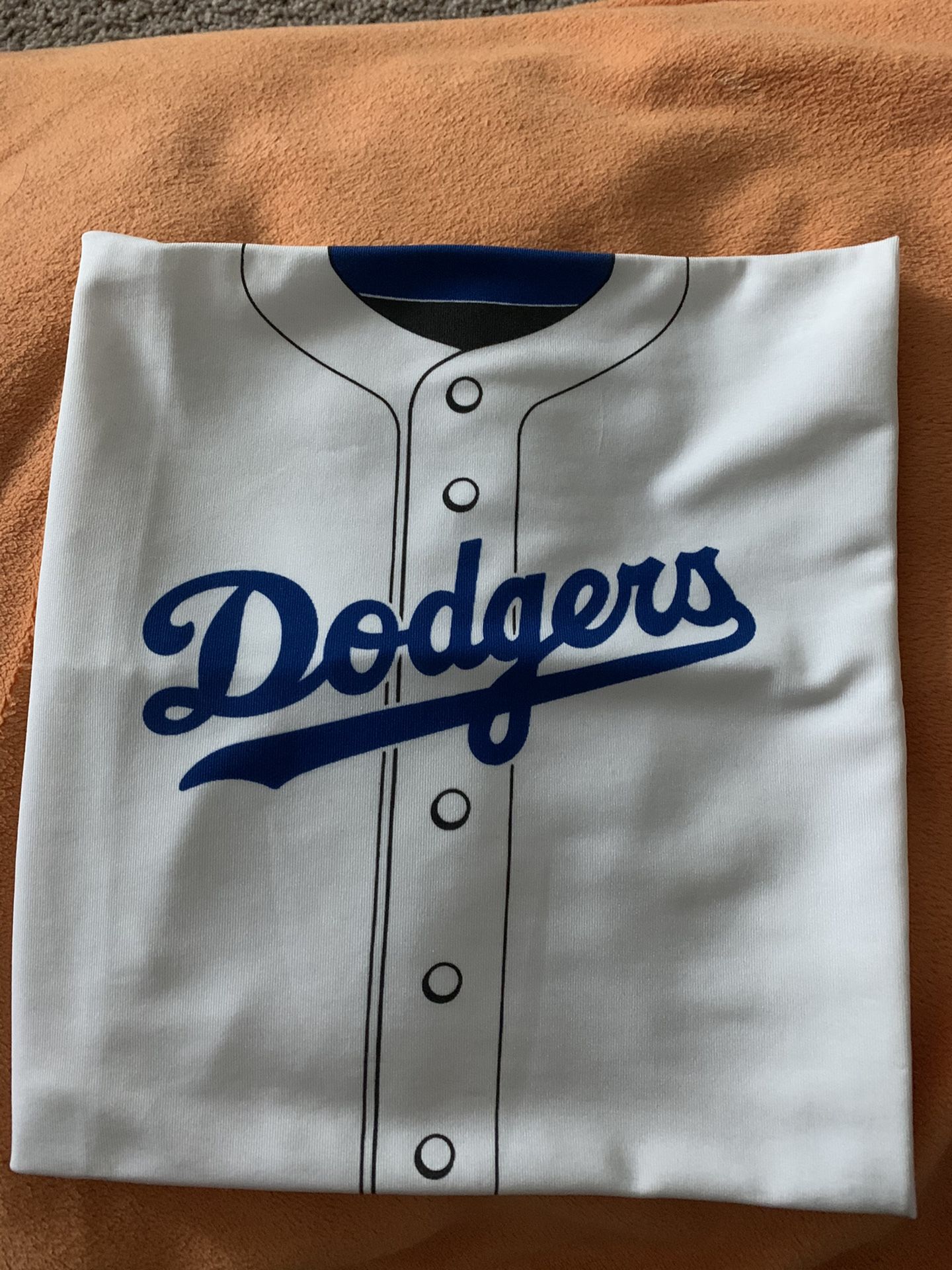 Dodgers book cover