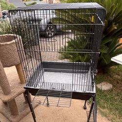 Bird Cage