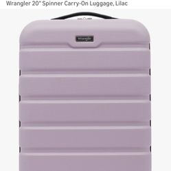 20 Inch Spinner Suitcase 