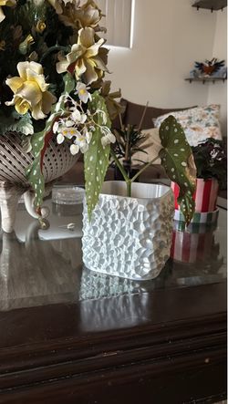 Frosted white Textured Square Vase