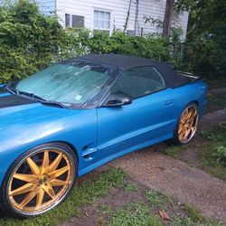 2002 Trans Am Firebird 