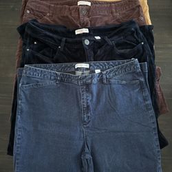 Coldwater Creek Size 16 Pants for Fall