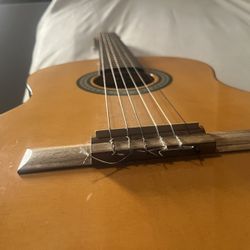 Ibanez Nylon Acoustic Classical Guitar 