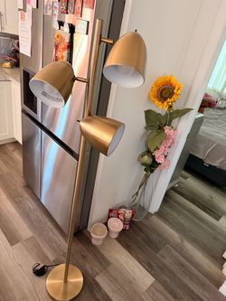 3-Head Gold Floor Lamp