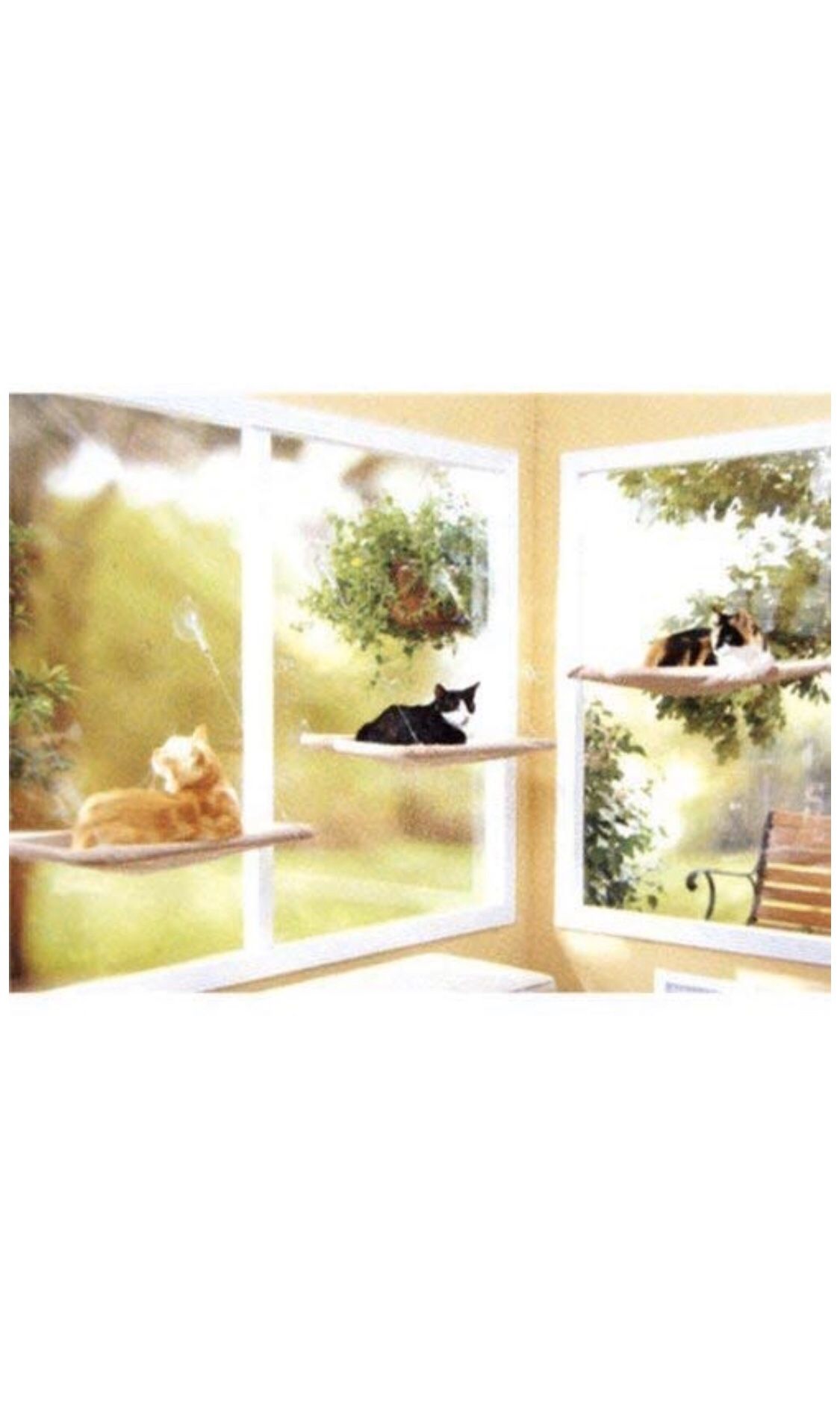 PETPAWJOY Cat Bed, Cat Window Perch Window Seat Suction Cups Space