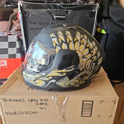 Motorcycle Dual Visor Flip up Modular Full Face Helmet with DOT Certification of Impressionism XL