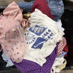Lot 40 pieces girls sz 10-12 clothes some winter, sweatshirts, dresses & summer pu Willow Grove PA