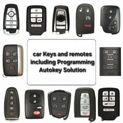 Car Keys and Key Fob 