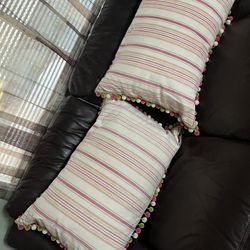 2 Large Pillows Reversible Uses Both Sides With Ziplper For Easy Laundry $40 For Both 